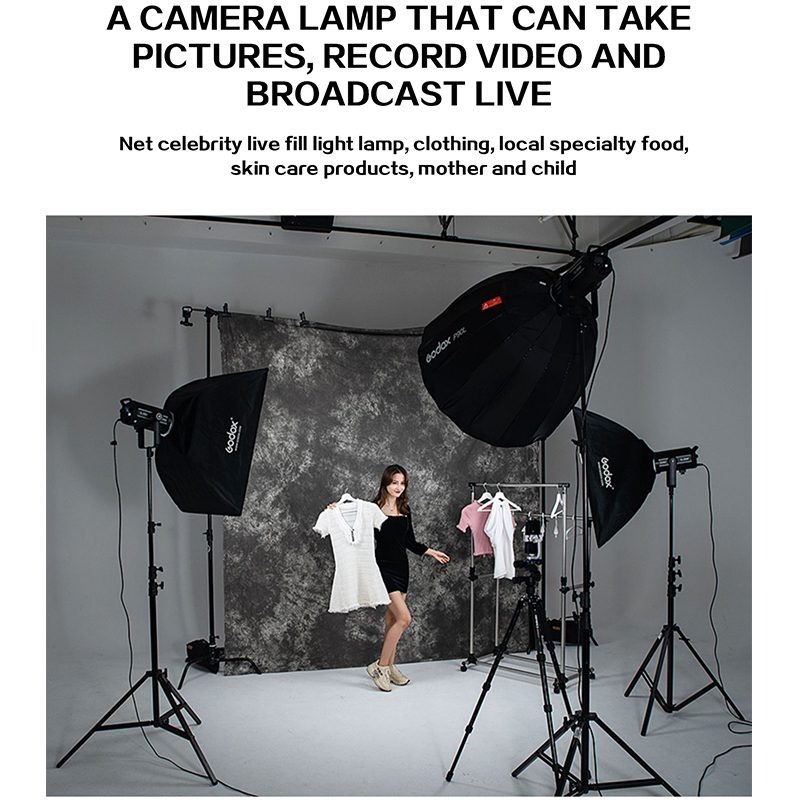 MSGODOX SL150W プロフェッショナルスタジオ撮影 - Photography Using Lighting のレビューと価格